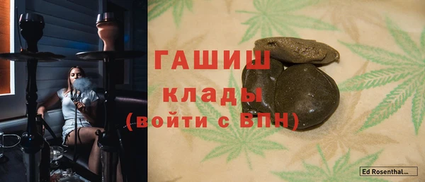 индика Беломорск