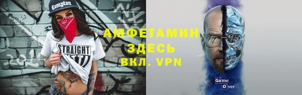 индика Беломорск