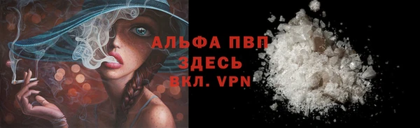 индика Беломорск
