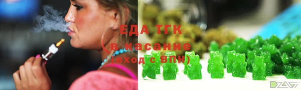 индика Беломорск