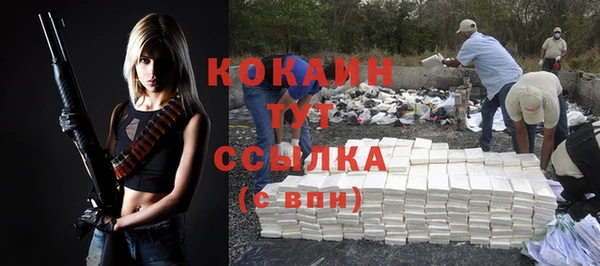 соль курить ск Белокуриха