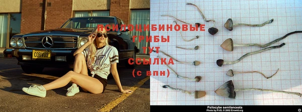 соль курить ск Белокуриха