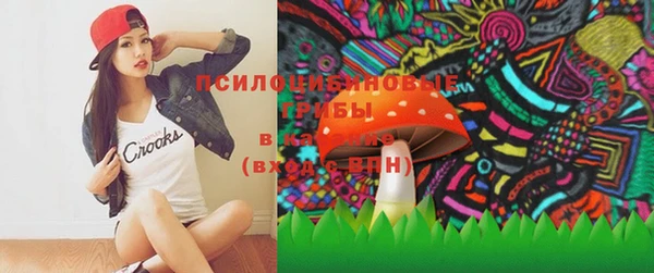 индика Беломорск