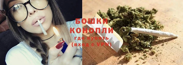 индика Беломорск
