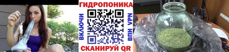 Бошки марихуана ГИДРОПОН  Красный Сулин 